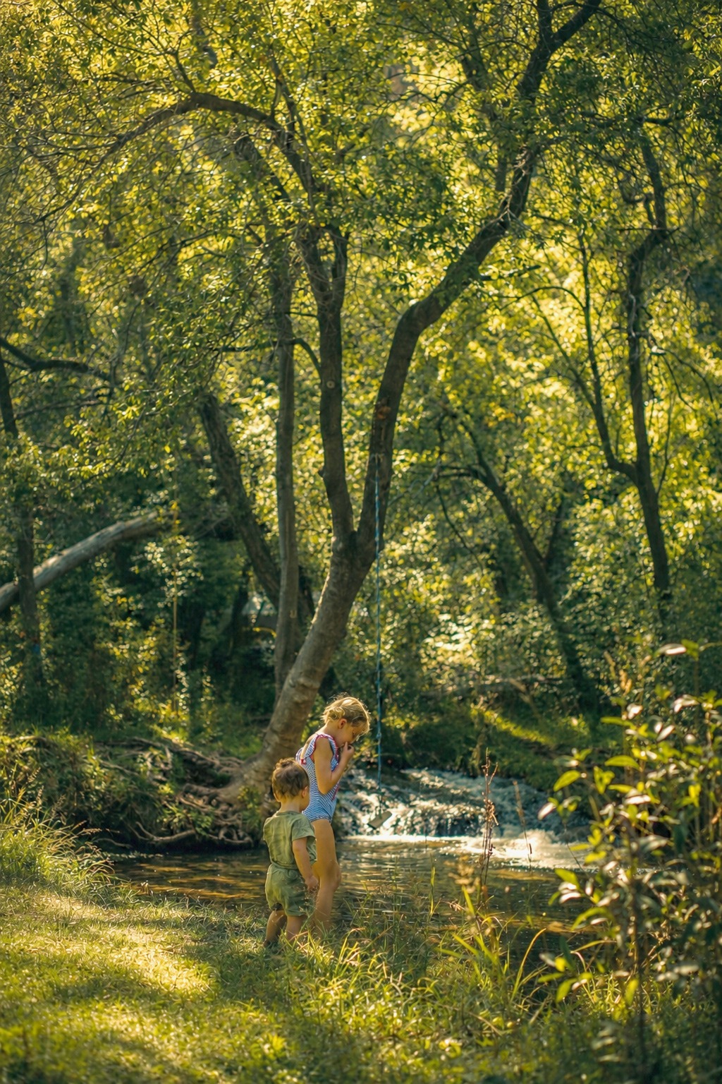 Children playing by a creek